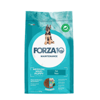 FORZA10 Maintenance Puppy Medium/Maxi Ar Zivīm, Suņiem sausā barība, 12 kg