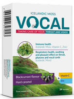 VOCAL  Blackcurrant pastilas, 24 gab.