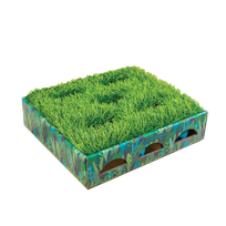 CATSTAGES Grass Patch Hunting Box, Zaļa, S rotaļlieta, 1 gab.