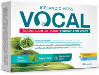 VOCAL  Ha Mint Flavour pastilas, 24 gab.