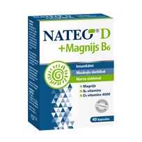 NATEO D 4000 SV + Magnijs B6 kapsulas, 40 gab.