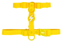 DASHI Colorflex Yellow  L iemaukti, 1 gab.