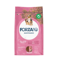 FORZA10 Maintenance Adult All Size Ar Cūku, Suņiem sausā barība, 12 kg