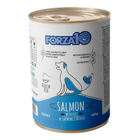 FORZA10 Maintenance Lasis Ar Rīsiem, Suņiem mitrā barība, 400 g