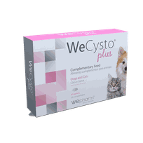 WEPHARM WeCysto Plus tabletes, 30 gab.