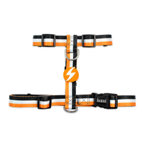 DASHI Stripes3 Orange&Black  S iemaukti, 1 gab.