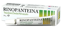 RINOPANTEINA deguna ziede, 10 g