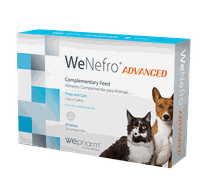 WEPHARM WeNefro Advanced tabletes, 30 gab.