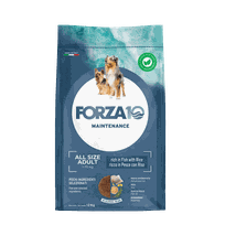 FORZA10 Maintenance Adult All Size Ar Zivīm Un Rīsiem, Suņiem sausā barība, 12 kg