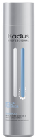 KADUS Scalp Purifier šampūns, 250 ml