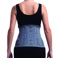 PRIM Spine Modular High (L) muguras ortoze, 1 gab.