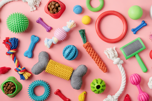 Kā samazināt mājdzīvnieku uzturēšanas izdevumus, izvēloties gudri