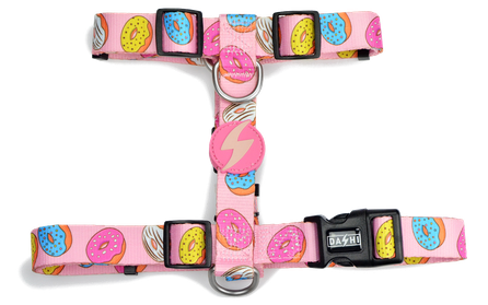 DASHI Donut  XS iemaukti, 1 gab.