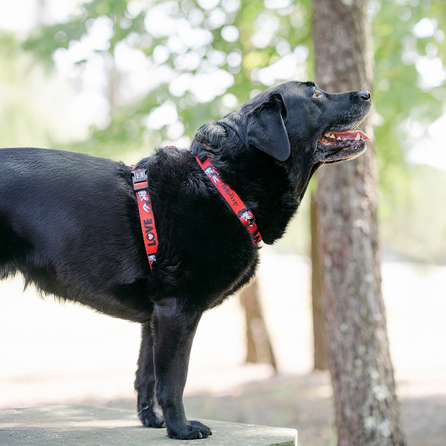 DASHI Vintage Betty S iemaukti, 1 gab.