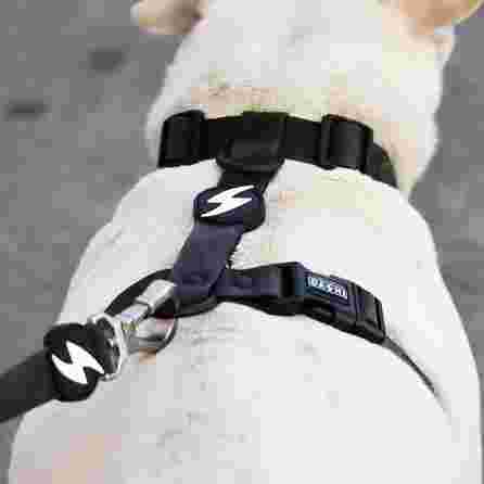 DASHI Colorflex Black  M iemaukti, 1 gab.