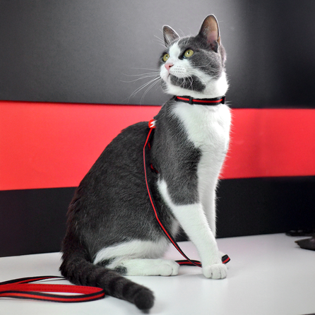 DASHI Stripes3 Red&Black pavada, 1 gab.