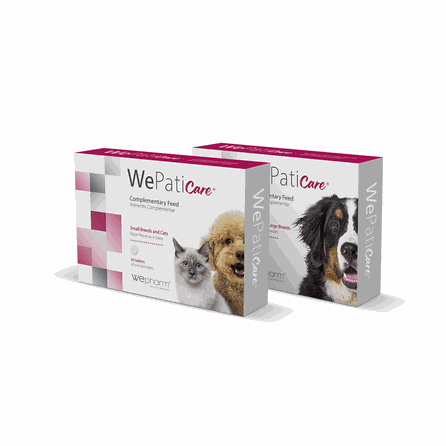 WEPHARM WePaticare Vidējo Un Lielo Šķirņu Suņiem tabletes, 30 gab.