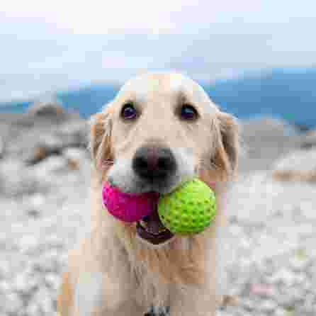 KIWI WALKER TPG Bumba, Maxi- Zaļa rotaļlieta, 1 gab.