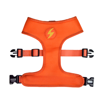 DASHI Terracotta Neo Mesh L iemaukti, 1 gab.