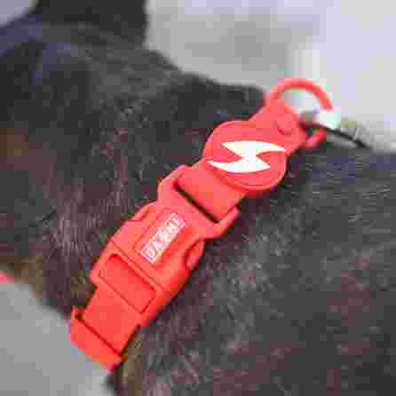 DASHI Colorflex Red S kakla siksna, 1 gab.