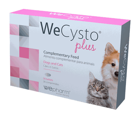 WEPHARM WeCysto Plus tabletes, 30 gab.