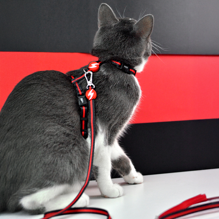 DASHI Stripes3 Red&Black pavada, 1 gab.