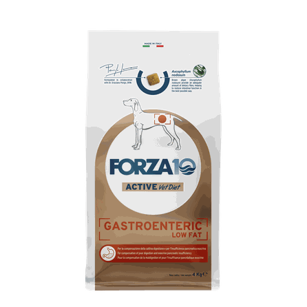 FORZA10 Active VetDiet Intestinal Colon Fase 1 Ar Jēru/Sorgo, Suņiem sausā barība, 4 kg