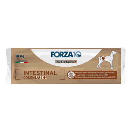 FORZA10 Active Vetdiet Intestinal Colon Fase 2, Suņiem sausā barība, 10 kg