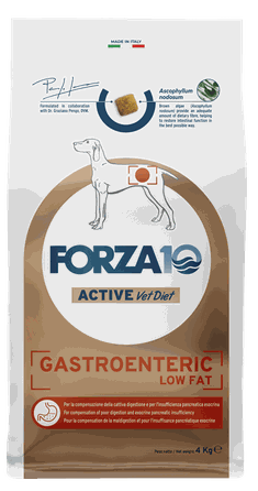 FORZA10 Active VetDiet Gastroenteric Low Fat sausā barība, 4 kg