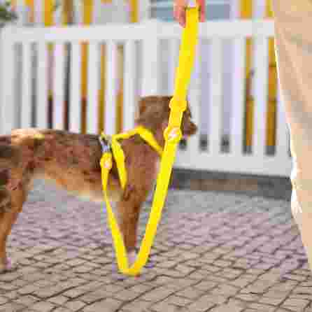 DASHI Colorflex Yellow Xs pavada, 1 gab.