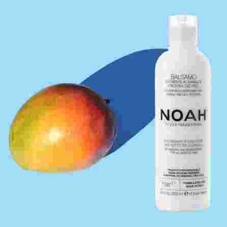 NOAH 2.1 Nourishing, Mango matu kondicionieris, 250 ml