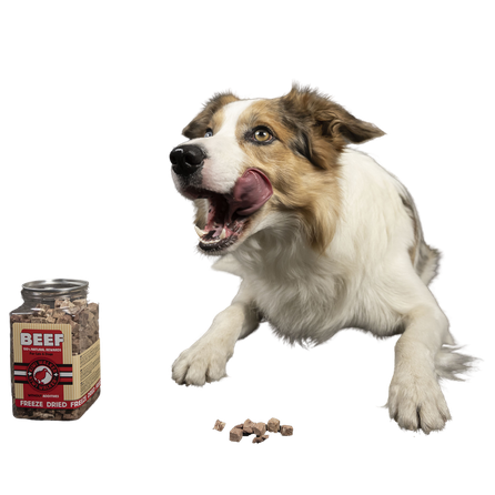 KIWI WALKER Zosu Aknas, Liofilizēti kārumi, 120 g