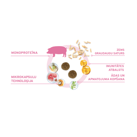 FORZA10 Monodiet Medium Adult Ar Cūku Un Kartupeļiem, Suņiem sausā barība, 12 kg