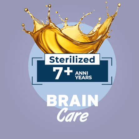 FORZA10 BotaniCAT Sterilizētiem Kaķiem 7+ g., Ar Pīli, Mīkstā pastēte, 80 g