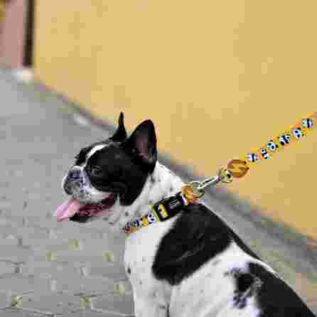 DASHI Snooze M pavada, 1 gab.