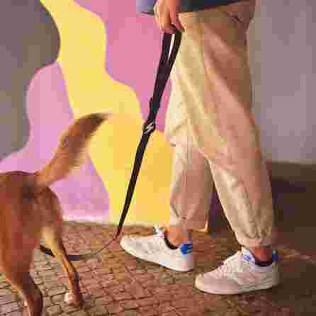 DASHI Colorflex Black S pavada, 1 gab.