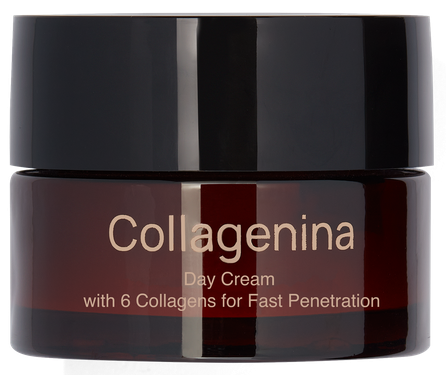 COLLAGENINA With 6 Collagens, Grade 2, Day sejas krēms, 50 ml