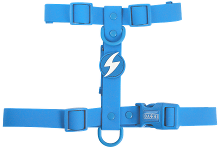 DASHI Colorflex Blue  XS iemaukti, 1 gab.