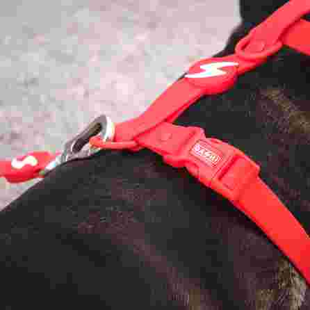 DASHI Colorflex Red  M iemaukti, 1 gab.