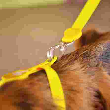 DASHI Colorflex Yellow L pavada, 1 gab.