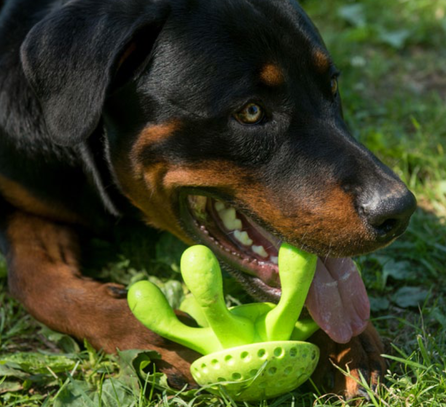 KIWI WALKER TPG Astoņkājis, Maxi- Zaļa rotaļlieta, 1 gab.