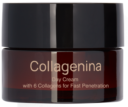 COLLAGENINA With 6 Collagens, Grade 3, Day sejas krēms, 50 ml
