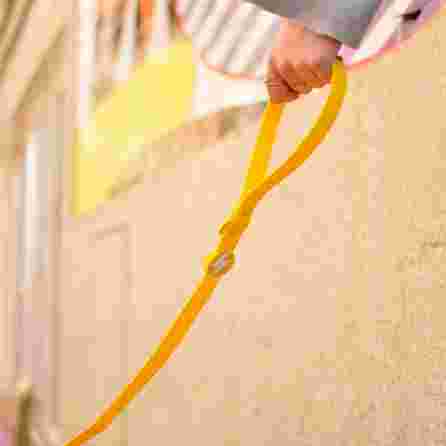 DASHI Colorflex Yellow M pavada, 1 gab.