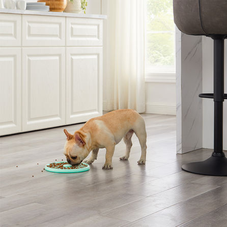 OUTWARD HOUND Fun Feeder Slo Tray, gaiši zaļa, L, Lēnēšanas rotaļlieta, 1 gab.