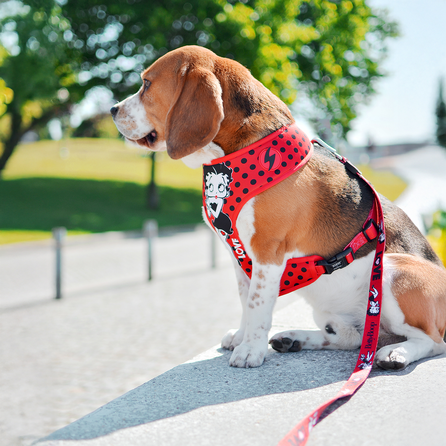 DASHI Vintage Betty Neo Mesh XS iemaukti, 1 gab.