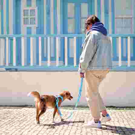 DASHI Colorflex Blue M pavada, 1 gab.