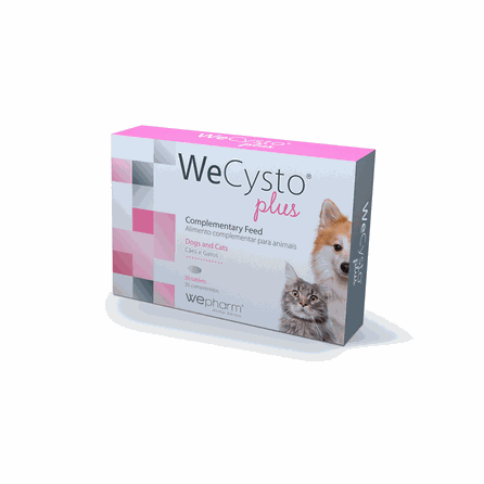 WEPHARM WeCysto Plus tabletes, 30 gab.