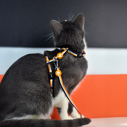 DASHI Stripes3 Orange&Black pavada, 1 gab.