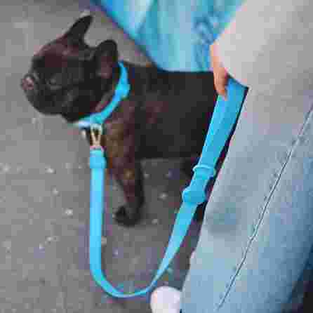 DASHI Colorflex Blue S pavada, 1 gab.