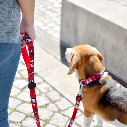 DASHI Vintage Betty XS kakla siksna, 1 gab.